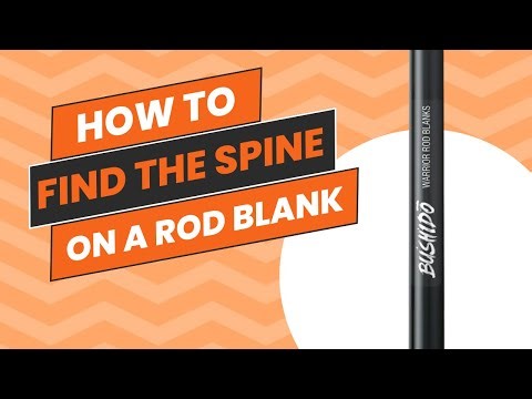 How to Find a Spine On a Fishing Rod