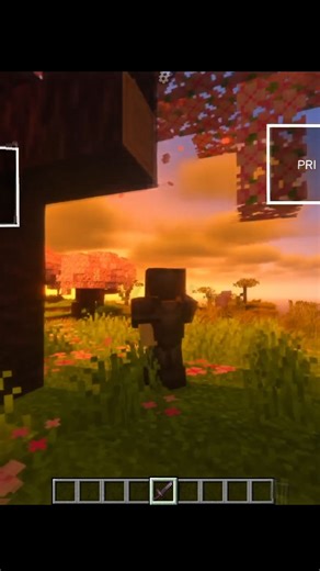 I Tried BSL shader in Mobile 😍