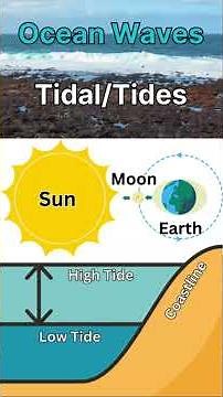 How Ocean Waves Form? #science