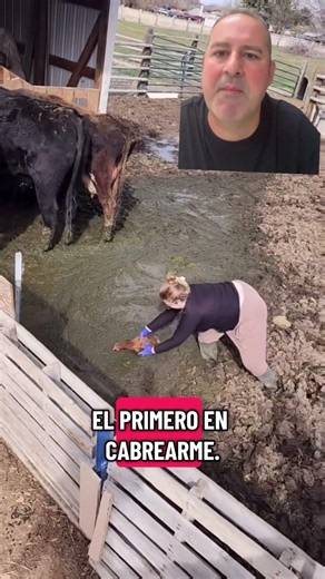Me habéis enviado est vídeo diciendo que esto es maltrato.