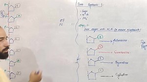 39K views · 3.3K reactions | DNA synthesis | Up Teaching Academy | Facebook
