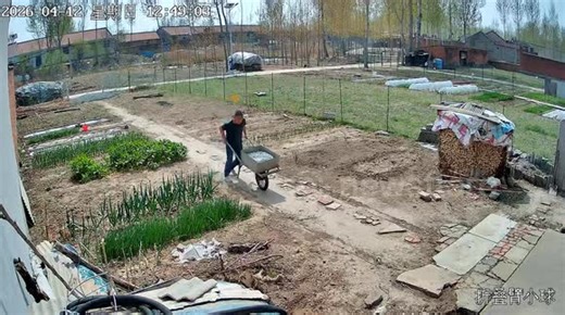 Man trips while pushing loaded wheelbarrow in Tianjin, China