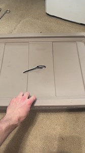 More blue silly string! I had 10 healthy blue insularis babies born this weekend and I’m so excited! #venomous #reptile #venomoussnake #viper | Nathan Jordan Photography