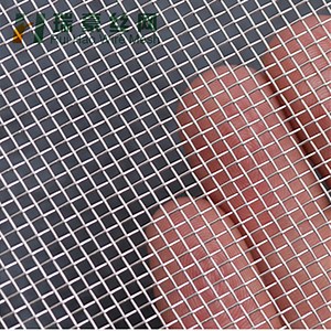 [Hot Item] Stainless Steel Wire Mesh /Wire Netting/Steel Mire Mesh/Woven Wire Mesh
