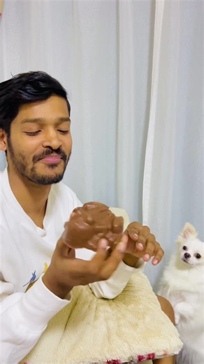 Harry Potter Chocolate Frog: A Delicious Treat from the Wizarding World