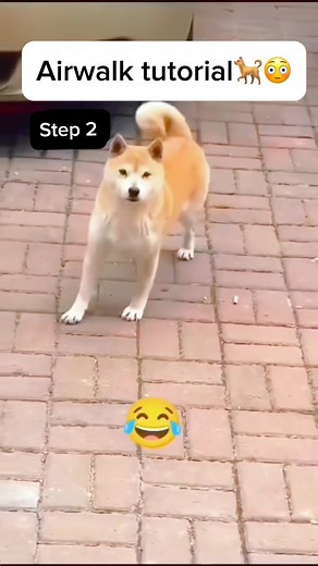 387K views · 4.3K reactions | Air walk made easy✅#funk #remix #airwalk #tutorial #dance #shortsfyp #slickback #fblifestyle | Dikee48 | Facebook