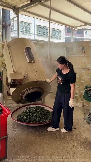 Full Process of Handmade Green Tea Production: From Machine Discharge to Finished Leaves