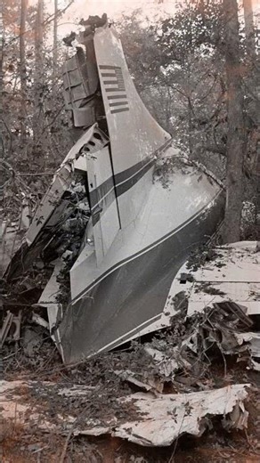 What AEROSMITH Saw That Saved Their Lives! #shorts