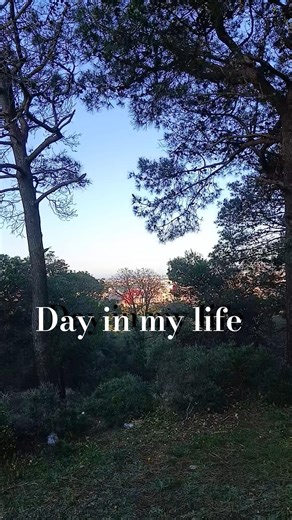 DWM #vlogger #blogger #lifestyle #studentlife #travel #automobile #fypシ゚viral #viral