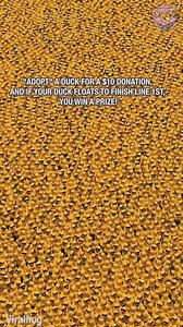 What the 🦆?? | 7-Second Riddles