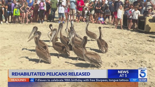 KTLA 5 News Top Stories at 5 p.m. - July 9, 2025