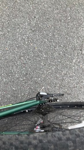 Riding a Green Bicycle on Paved Surfaces