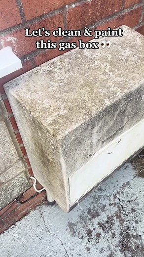Satisfying Gas Meter Box Cleaning and Painting