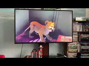 The Wild (2006) on Nickelodeon