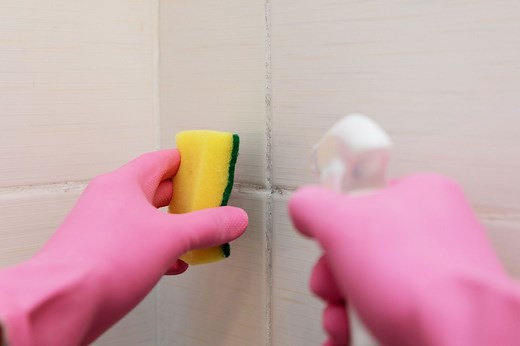 What's The Difference Between Bathroom Mold And Mildew?