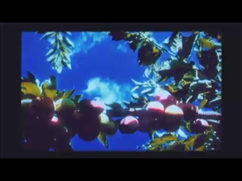 [free] nothing nowhere, skele, acoustic type beat - coping (prod. irby)