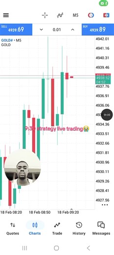 Understanding Forex Trading Strategies and Mindset