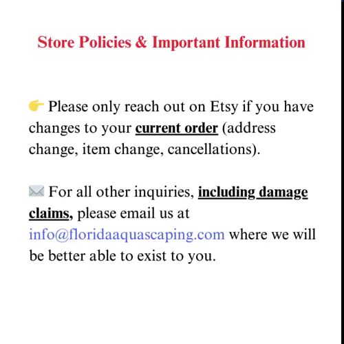 BUY 2 GET 1 FREE Java Moss (vesicularia Dubyana)-easy Live Aquarium Pond Aquatic Plant - Etsy