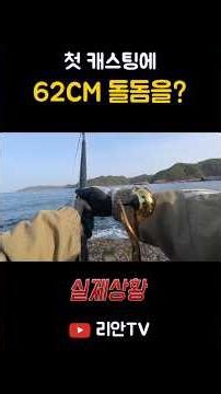 첫 캐스팅에 62cm 돌돔..? 실화냐 #낚시 #돌돔낚시 #fishing