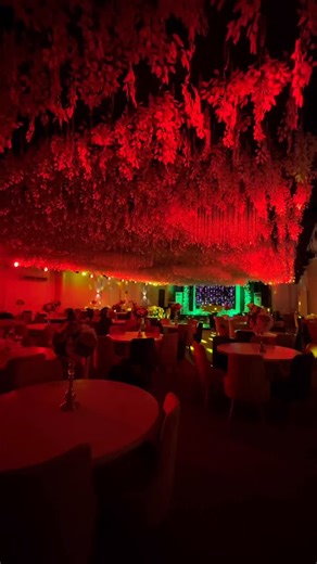 Diva hall 🤍 | Diva hall