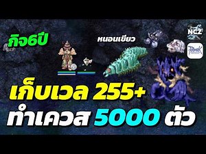 EM ลุยเก็บเวล Lv.255+ ทำเควสตีมอน แมพหนอนเขียว 5,000 ตัว ได้ EXP เยอะมาก เวลพุ่งๆ | RO EP.732