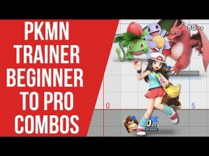 PT Beginner to Pro Combos