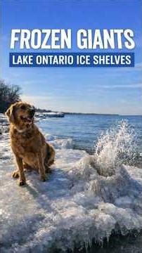 Frozen Giants | Lake Ontario Ice Shelves