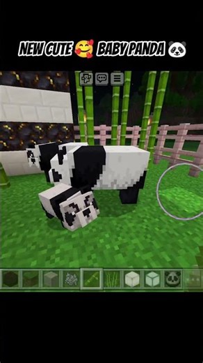 🏡“Panda Family Life 🐼✨ Breeding, Feeding & Cute Moments” #minecraft #gaming #panda #shorts