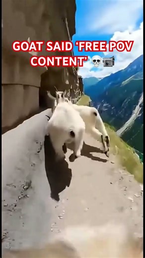 GOAT TOOK THE GOPRO AND ASCENDED 💀🐐#lol #ai #gopro