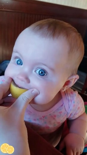 10K views · 264 reactions | Baby eats lemon for the first time殺殺朗朗❤️❤️♥️♥️ | Babies Fun | Facebook