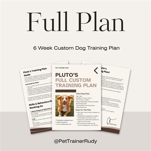 Custom Dog Training Plan: 6-week Personalized Obedience Program (PDF Download - Etsy