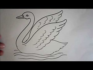 How to draw a Swan swim on water step by step | Drawing video