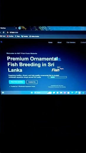 I spent hours to build this webpage from scratch. it uses html, css and javascript.🙂
