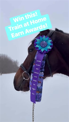 Registration Now Open for our first Seasonal Challenge of 2026! Are you up to the challenge? We are an at home, self paced equestrian challenge series. Offering flexible challenges so riders, drivers, and handlers of all ages, disciplines, breeds and ability levels can work on their own personal goals. Winter Wonderland Seasonal Challenge - Record in writing 25 Activities (Riding, Driving or Ground Work) between January 1st and March 15th - Submit your log and your ribbon mails to you! - All fin