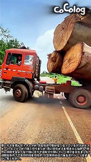 急坂を登り切る！巨大な丸太を運ぶトラックの奮闘 #worker #process #logistics #logging #trucklife