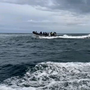 Irish Naval Service on Reels