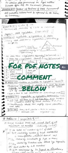 polity_lecture_12_THE STATE LEGISLATURE