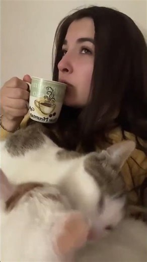Cats steal the show: siblings Coco and Coffee share a kiss while owner enjoys morning coffee