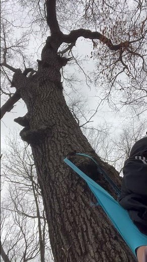 Hanging wedgie in the woods dangling by my ripped underwear
