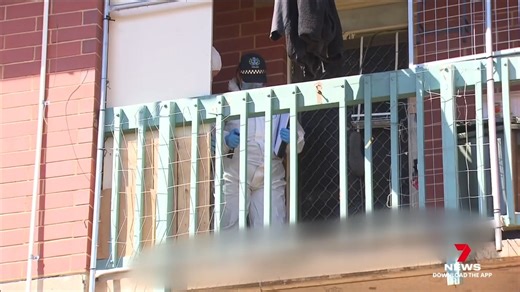 Detectives are investigating if a mother found dead on her balcony in the Christie Downs was murdered. Her partner has been arrested after allegedly attacking police when they arrived at the scene. Download the 7NEWS app: https://7news.link/7NEWSapp #7NEWS | 7NEWS Adelaide
