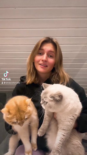 Hilarious Amy Moments | Laugh with Amy the Cat