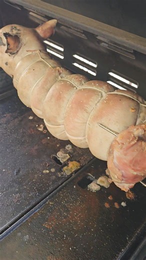 Dinners on ..🐗❤️ # Hunt Catch Cook | Hunt Catch Cook