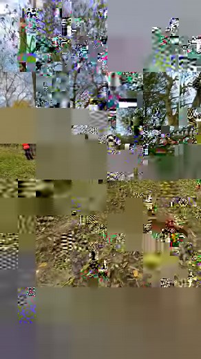 This Austin 7 Chummy provided us with the perfect Trials entertainment! | The Vintage Sports-Car Club - VSCC