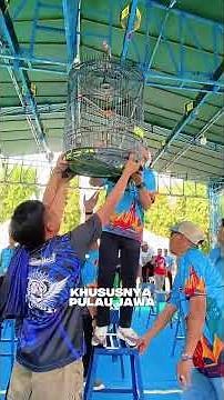 LAMPUNG GOVERNOR Rahmat Mirzani Djausal 🔥Opens Bird Singing Competition with AYLA CAR PRIZES