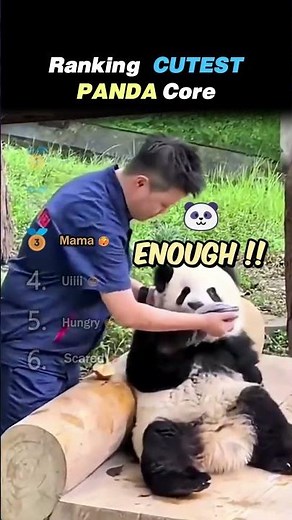 Ranking CUTEST PANDA MOMENTS Core Moments!! 🐼