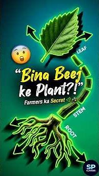 Vegetative Propagation Explained #shorts #Biology #neet #science #gk #reproduction