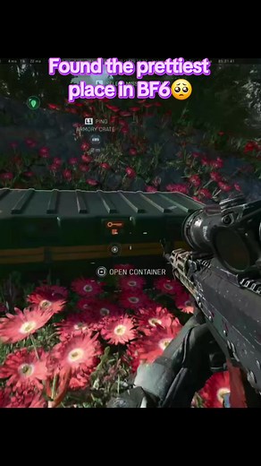 Exploring the Beautiful Fields in BF6