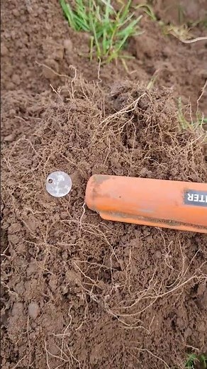 gp pinpointer review for metal detecting