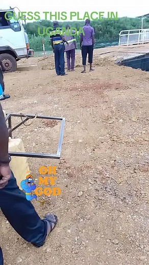 ANOLD ANOLD on TikTok