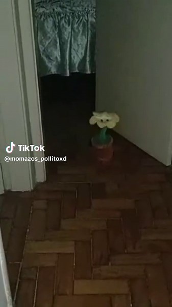 Respuesta a @steel_pigeon5: Flowey Bailando